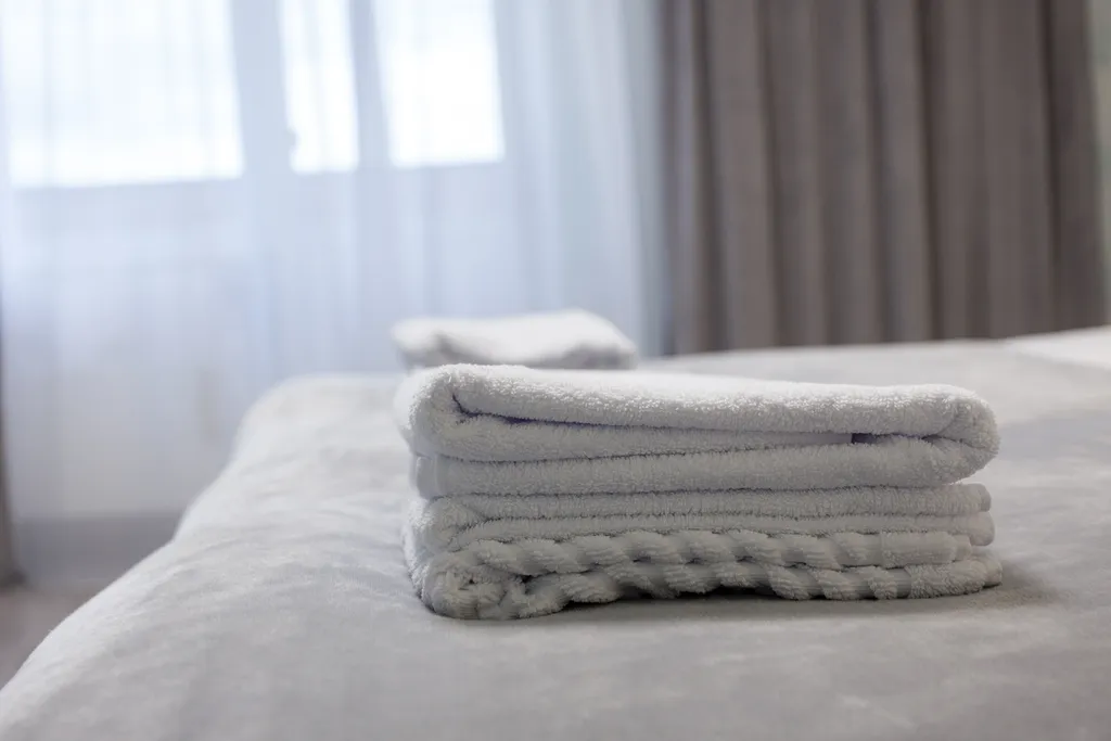 Очень большая квартира с 2 спальнями