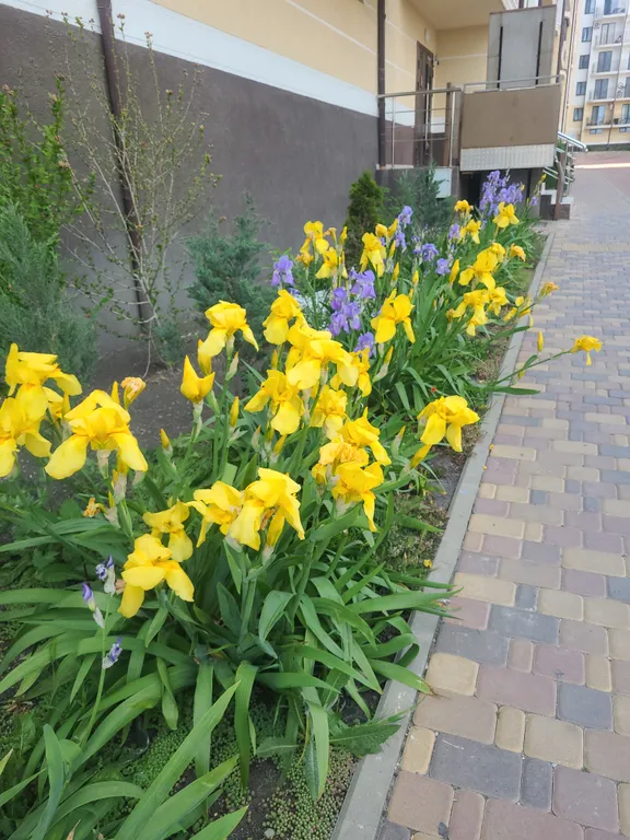 Великолепный вид на море и горы