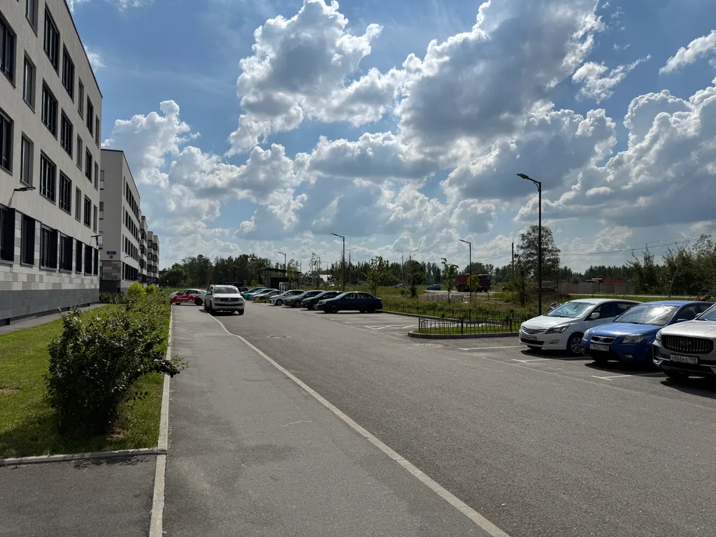 Венера