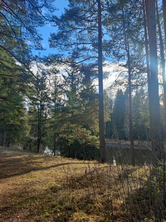 Просторный деревянный коттедж, половина дома 2 этажа 2П