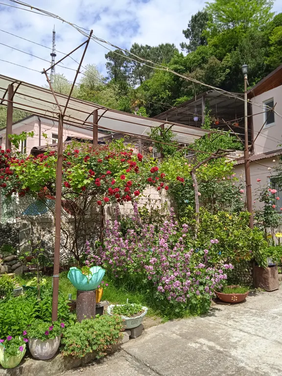 Квартира Уютный уголок в частном секторе — Сухум