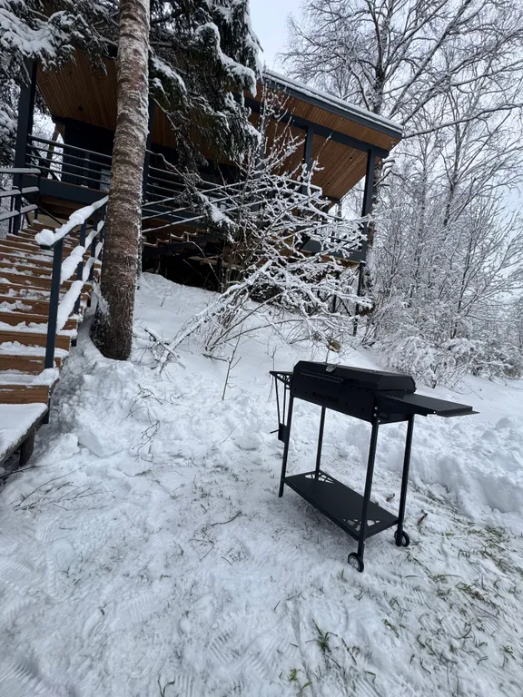 Дом у ручья в лесу