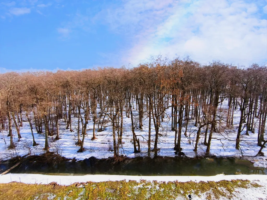 Апартаменты Лач на море