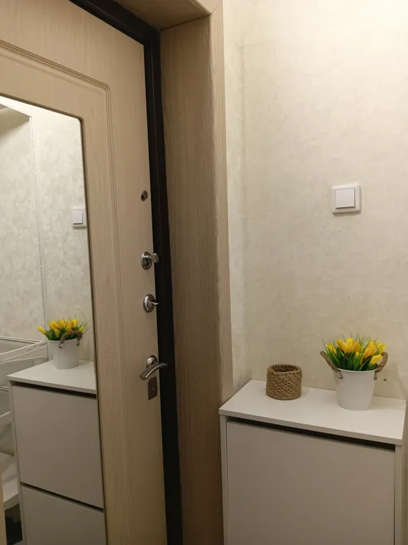 Уютные 2х комнатные апартаменты в новом доме с  видом на карьер "Мир"