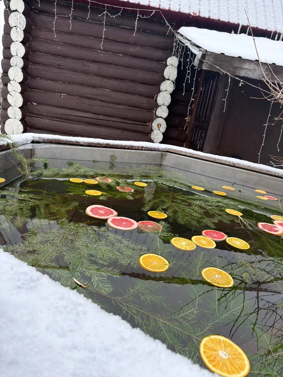 Дом с баней и чаном