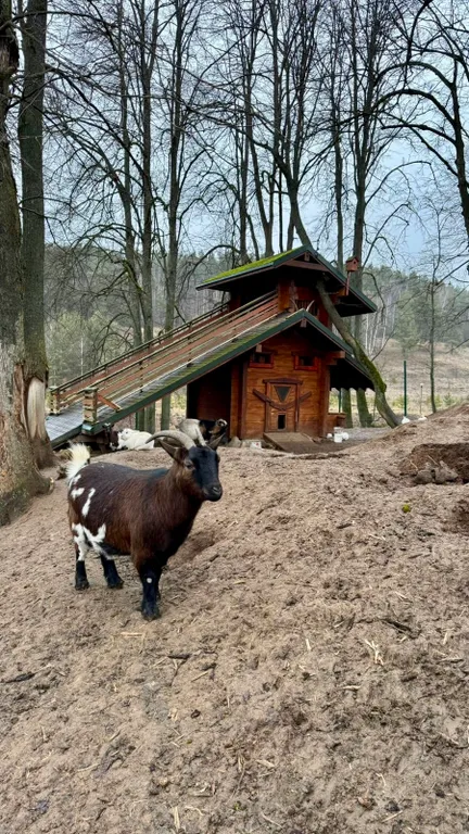 Дубльдом с видом на лес и городским комфортом в Капитан клаб