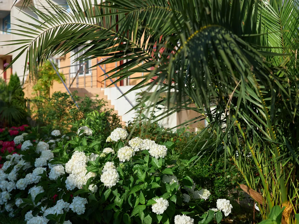 Люкс апартаменты с видом на море