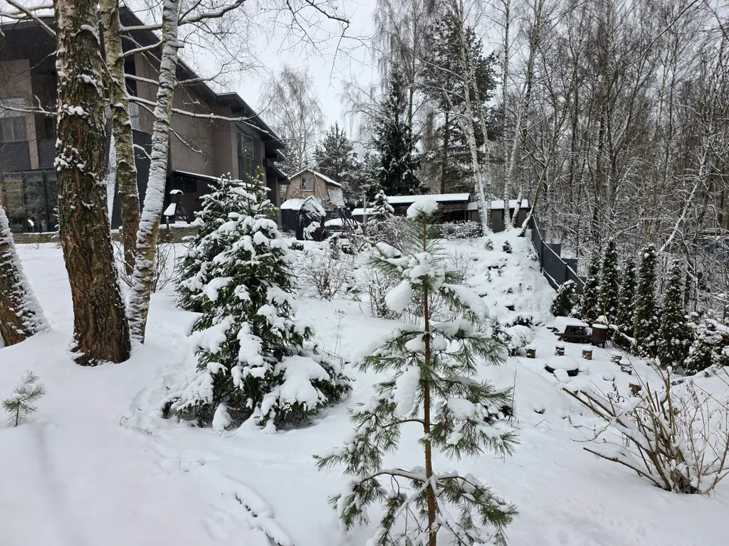 Новая сфера для глэмпинга Бёрд&Self vibe с дизайнерским интерьером