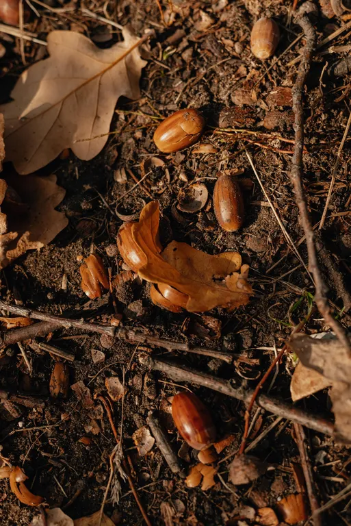 Атмосферная двухуровневая квартира с видом на Петропавловский парк