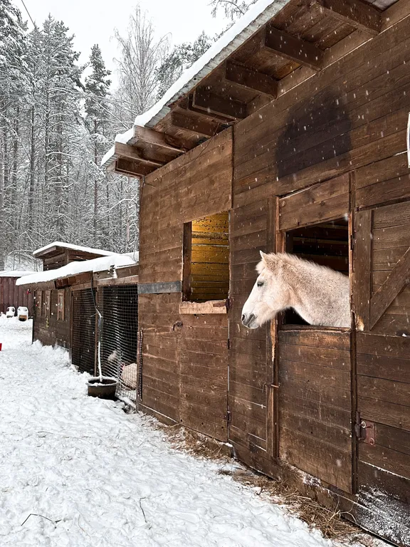 Коттедж Уютный коттедж villa lavanda у леса и озера — Борисово
