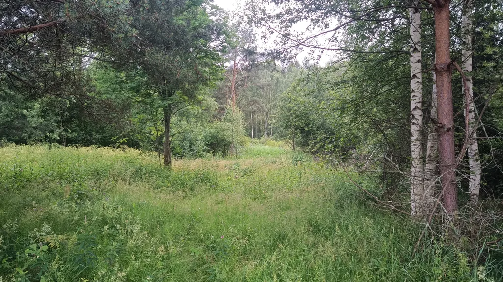 Дом на берегу протоки, ведущей в Вышневолоцкое водохранилище