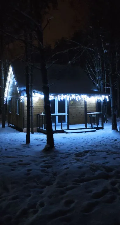 Коттедж Уютный домик в лесу №5 с двумя спальнями — Кутузовское