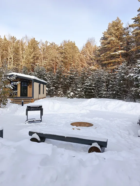 Светлый домик на опушке леса