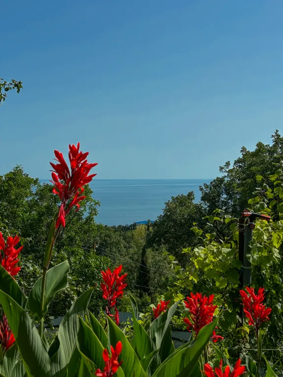 Коттедж Дом с отдельным двором в зелёной зоне — Кацивели