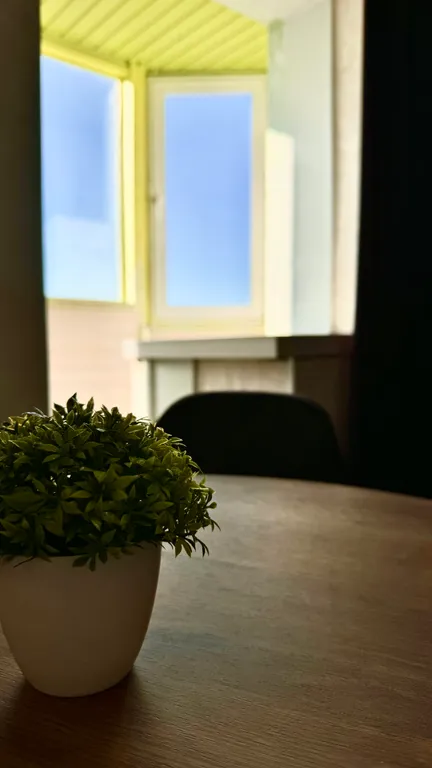 Уютная однокомнатная квартира с видом на самые красивые закаты у реки