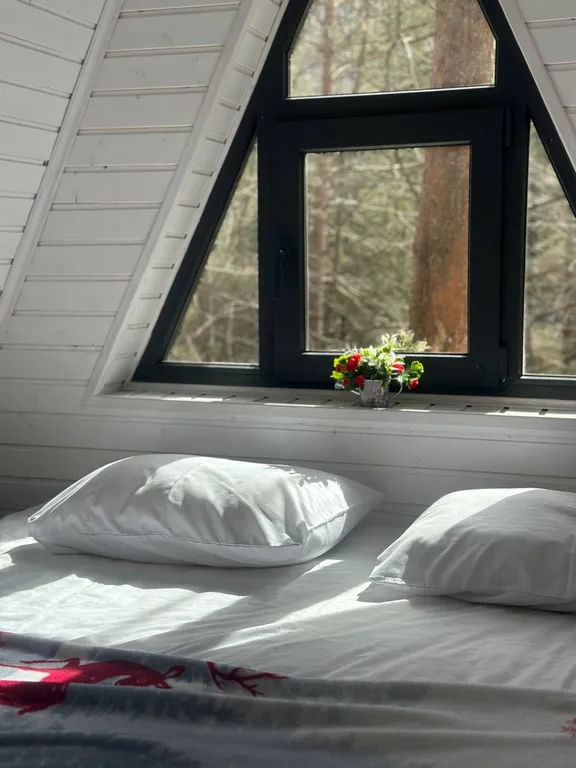 Афрейм Пушкин Дом 7