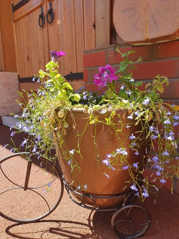 Коттедж Коттедж среди хвойных сосен — Кудряшовский