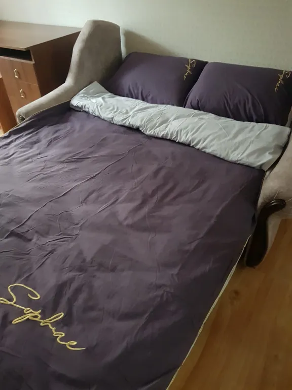 Квартира Уютная квартира в центре — Калининград