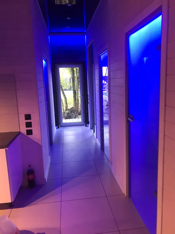 Современный дом в лесу