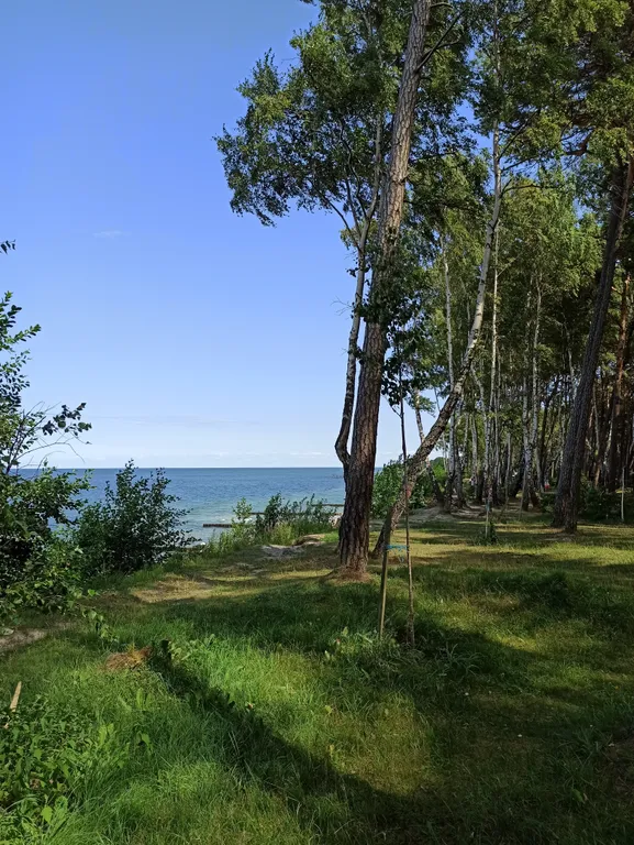 Уютная квартира на побережье