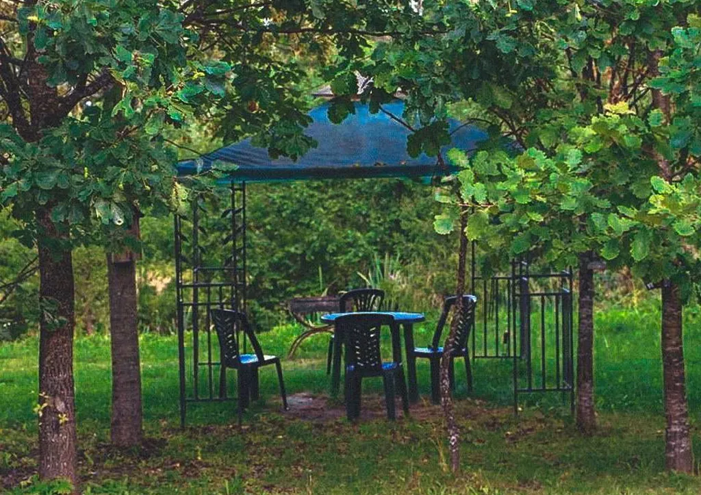 Уютный дом у сосен