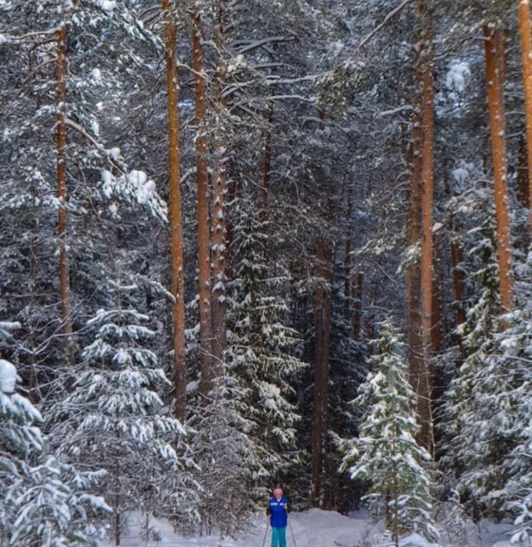 Солнечный домик в беловежской пуще без соседей, баня, озера, экскурсии