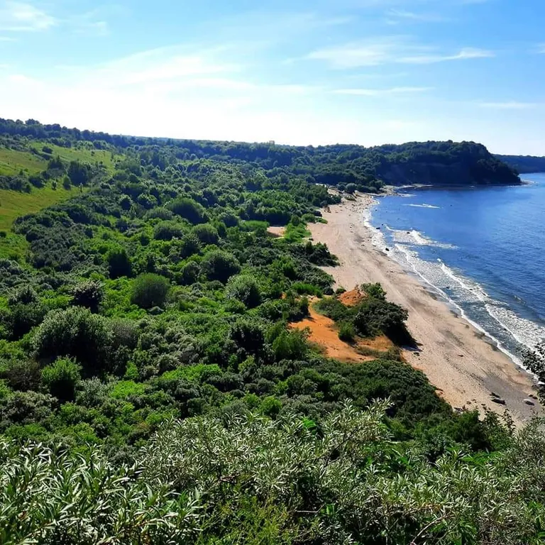 Загородный дом Филино с сауной, садом и барбекю