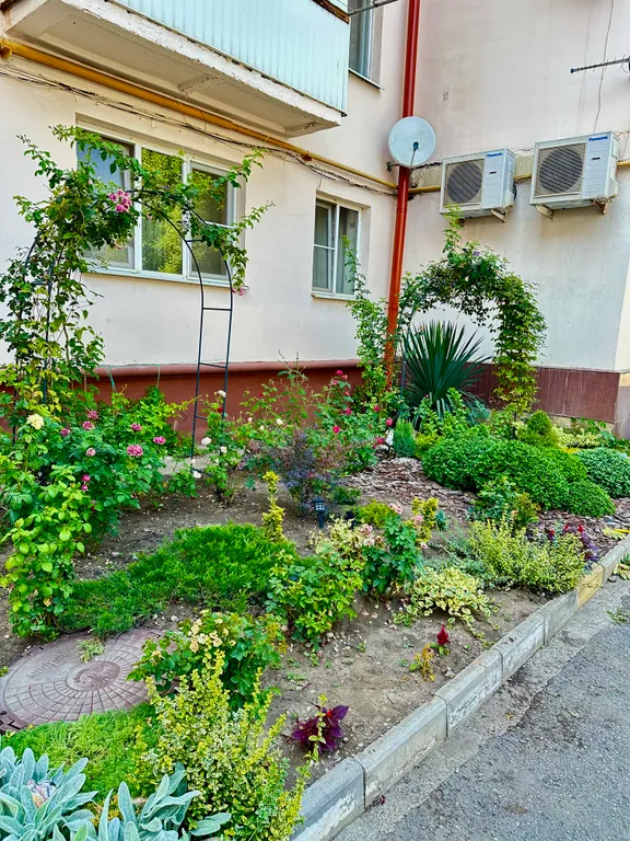 2-комнатная квартира в центре рядом с парком