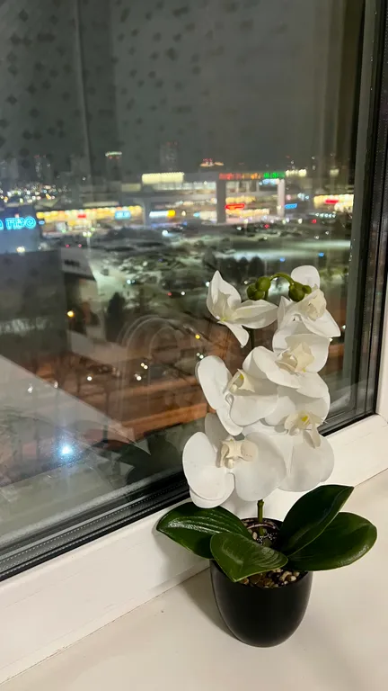 1-комнатная квартира, 2 кровати, напротив Планеты