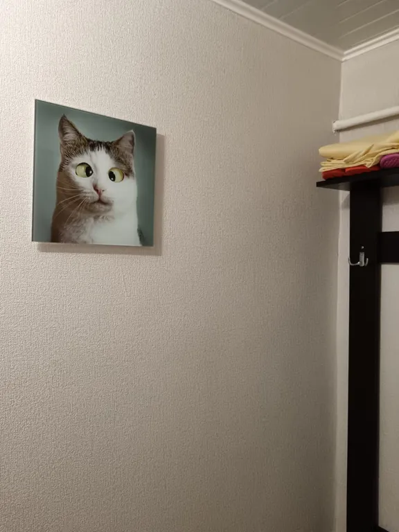 Квартира Светлая уютная квартира в центре — Зеленоградск