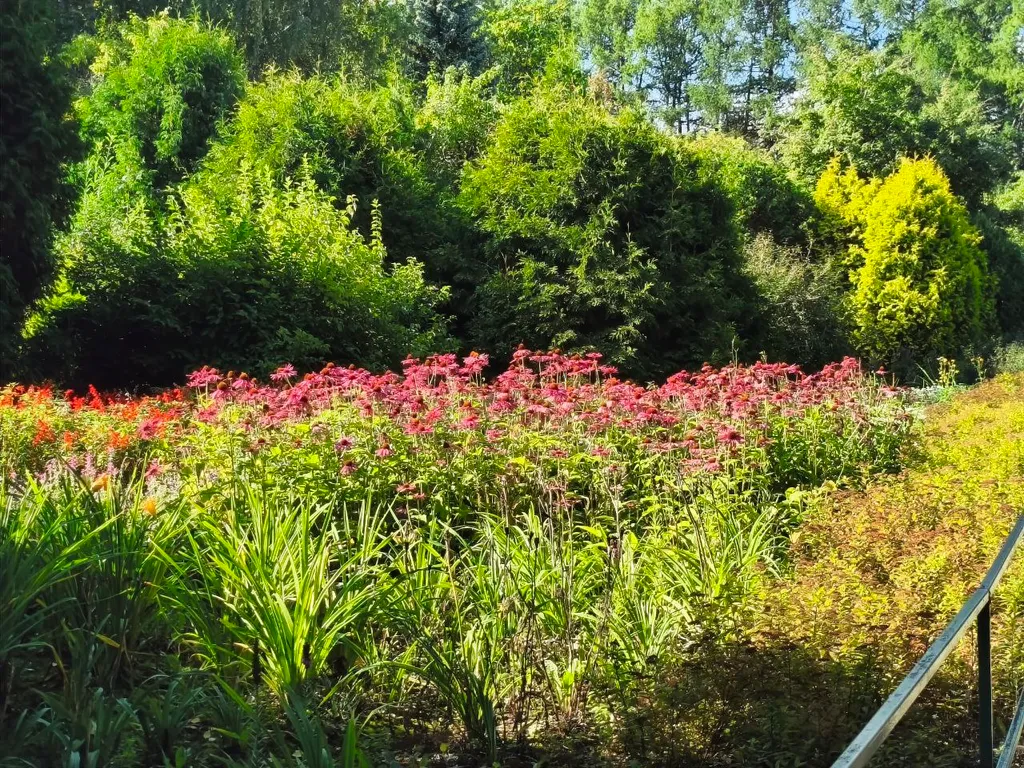 Двухкомнатная квартира с историей в центре Екатеринбурга