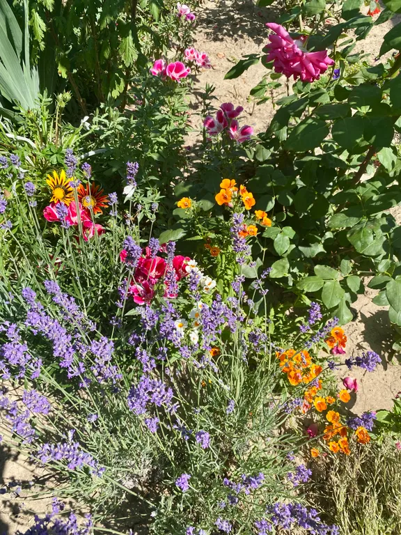 Дом на Энгельса 15