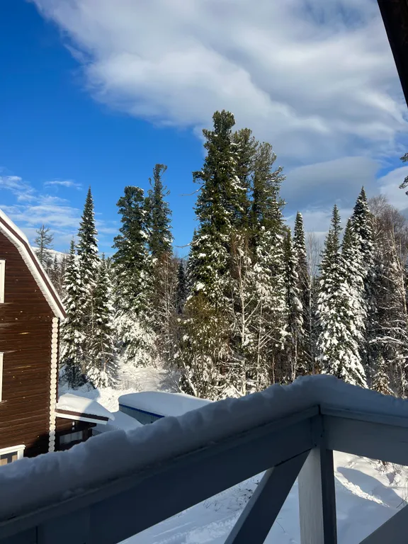 Атмосферное шале для большой компании