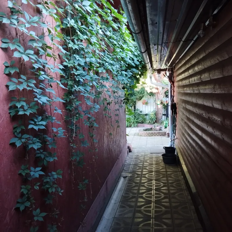 Дом с видом на Селигер