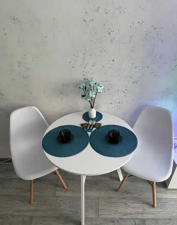 Уютная студия в центре города