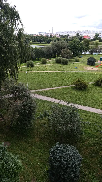 Чижовка Арена, Дельфинарий, Дино-парк, метро Автозаводская 10мин