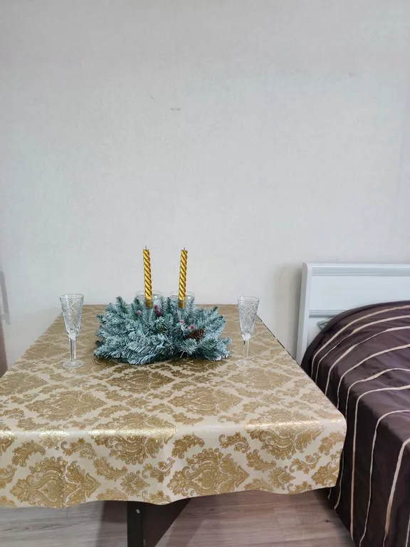 2 комнатная квартира в центре