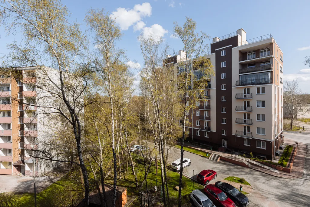 Квартира 1-комнатная Квартира — Светлогорск