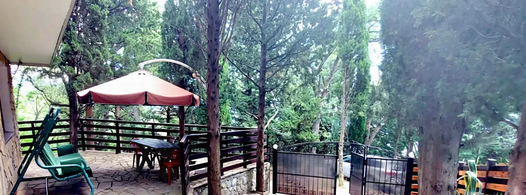 Кипарис Шале 1