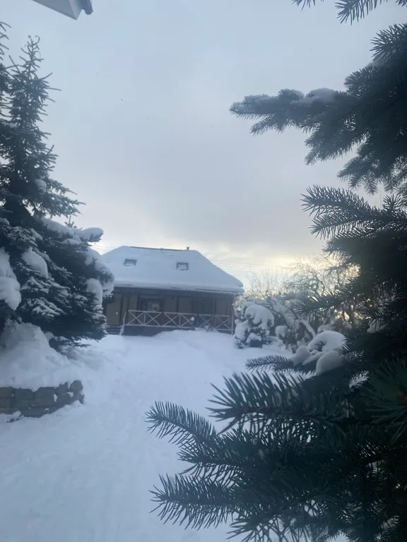 Дом с банькой у Павловского парка