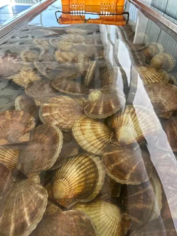 Домик на берегу моря