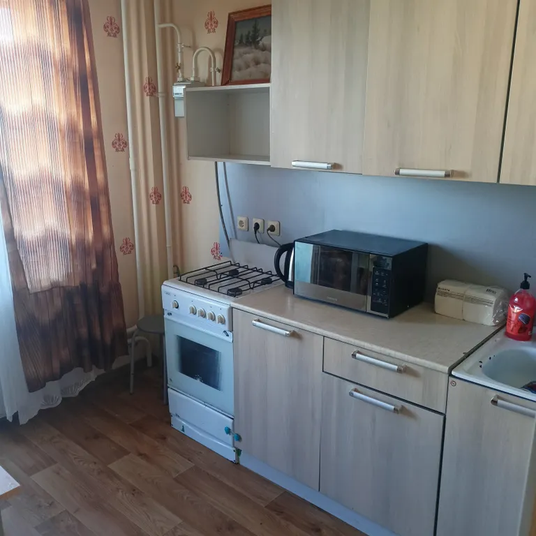 Уютная квартира с видом на реку — аренда посуточно в Родина