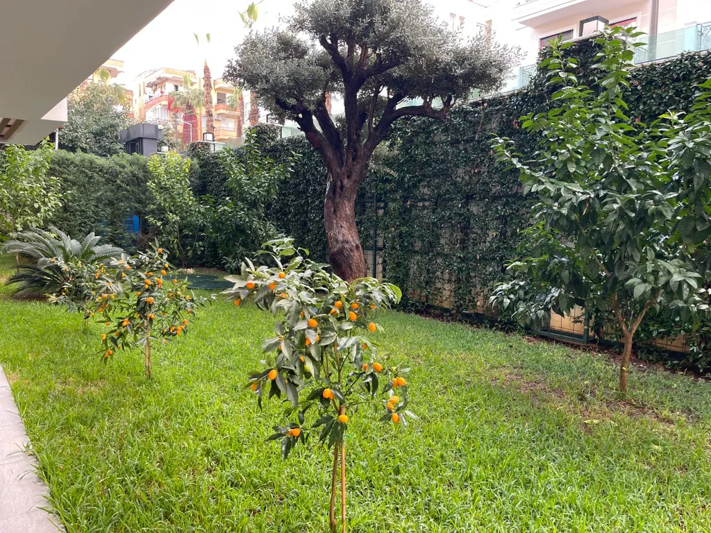 Апартаменты в 300 метрах от знаменитого пляжа Клеопатры