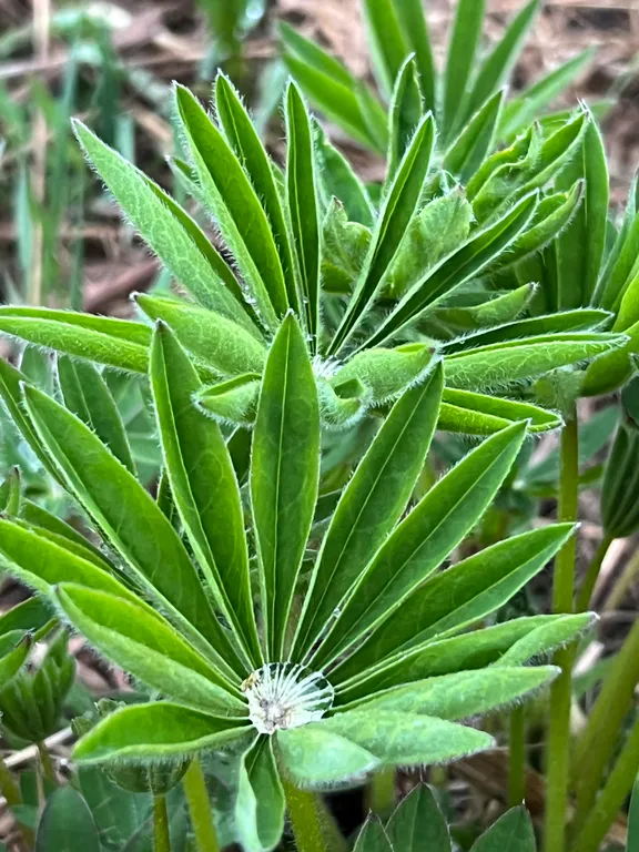 Уютный уголок для путешественников