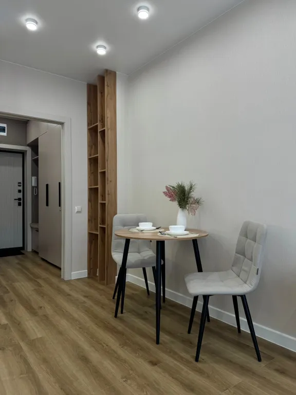 Студия в центре города