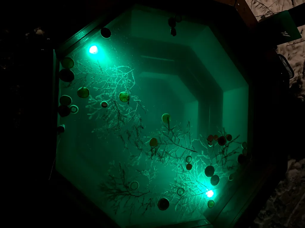 Уютный дом в окружении леса