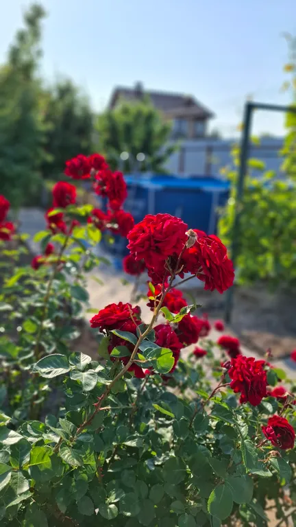 Уютный дом на берегу Азовского моря