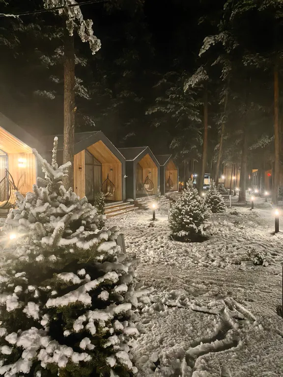 Эко-отель Дом в сосновом бору национального парка Приэльбрусье