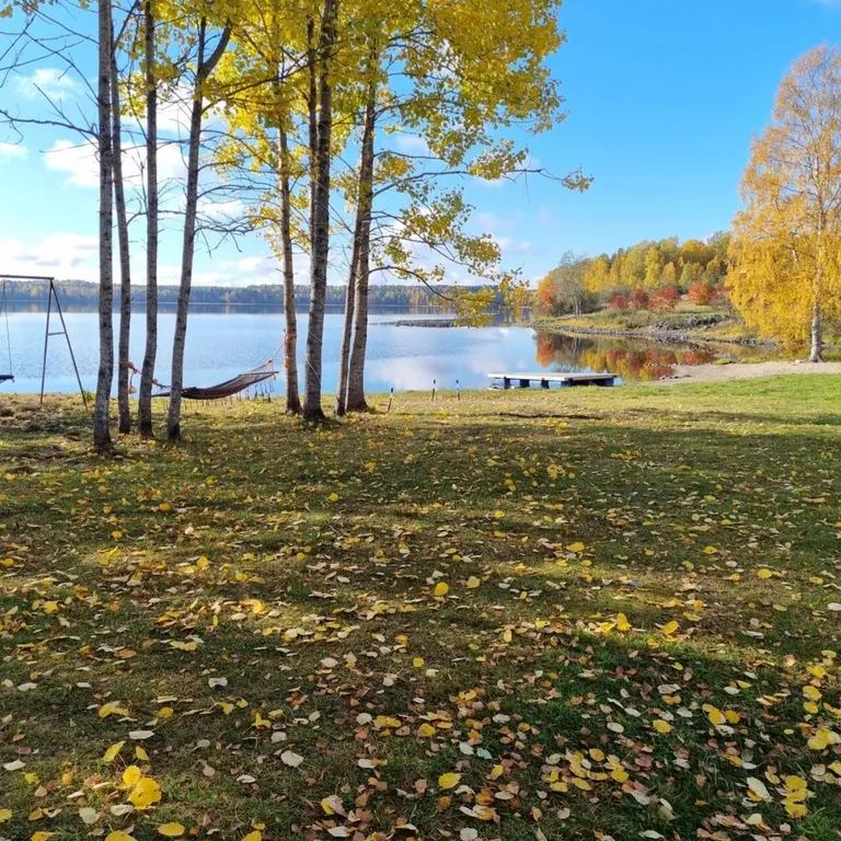 Уютный дом на берегу озера "Прозрачный берег №1"