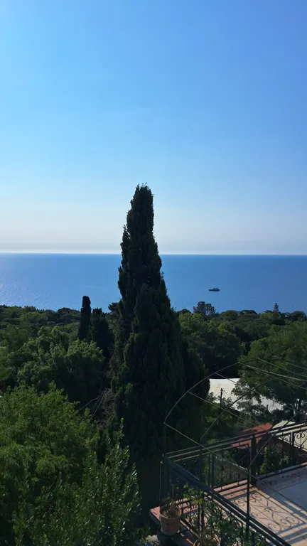 Номер с видом на море у Воронцовского парка